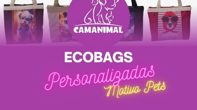 Loja-especializada-em-bolsas-e-malas-em-Sao-Paulo-8